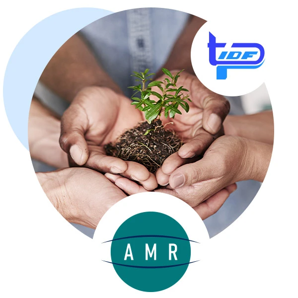 Société AMR - All Mode Recycling